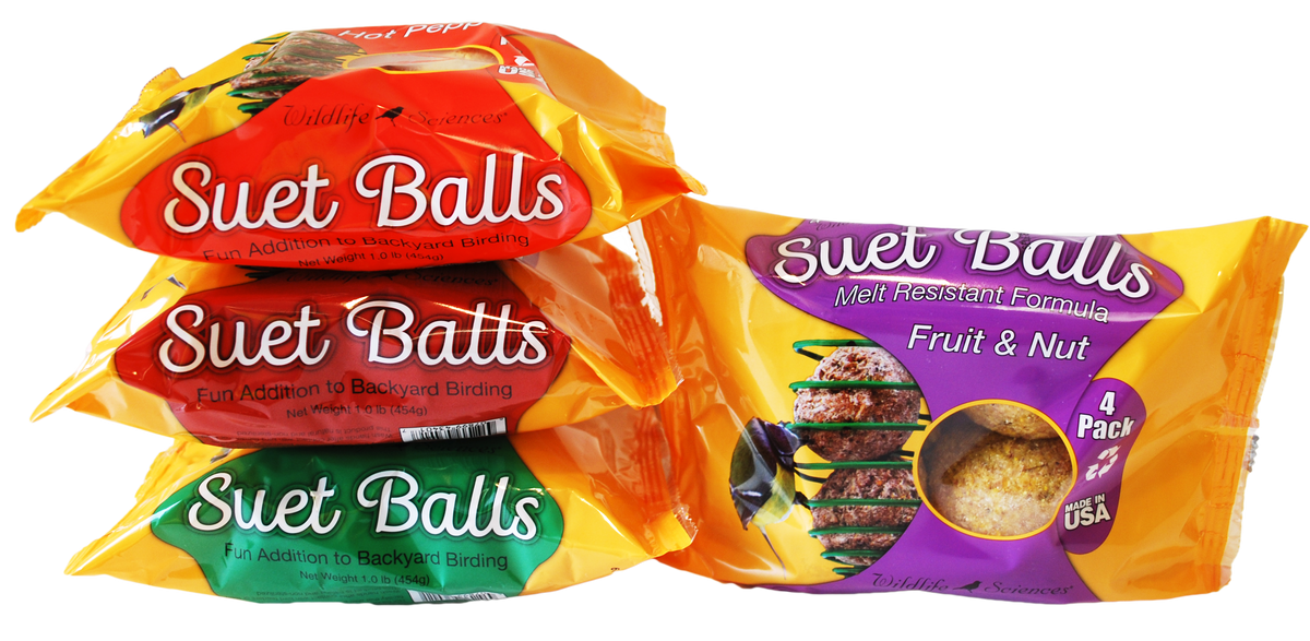 Suet Balls