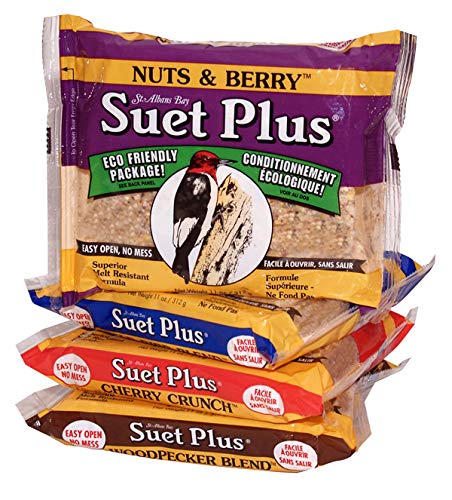 Suet Cakes