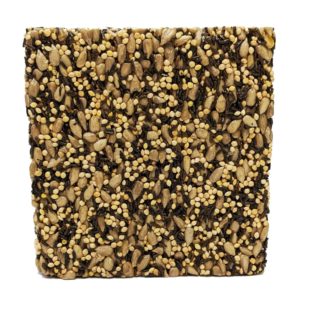 Wildlife Sciences Songbird Treats Seed Bars | 12 Pack of 8 oz Bird Seed Cakes for Wild Birds