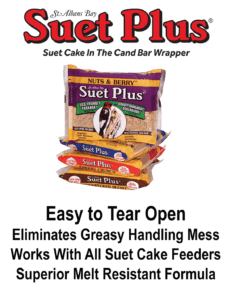 Suet Cakes and Feeders Ultimate 30 Pack image 5