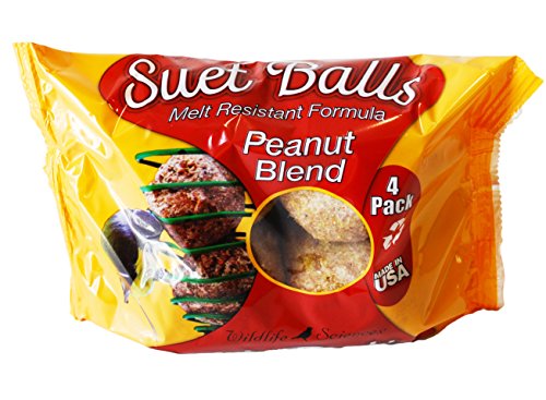 Suet Ball Feeder and Suet Ball Variety Combo Pack | Geo Pyramid Feeder with 16 Suet Balls