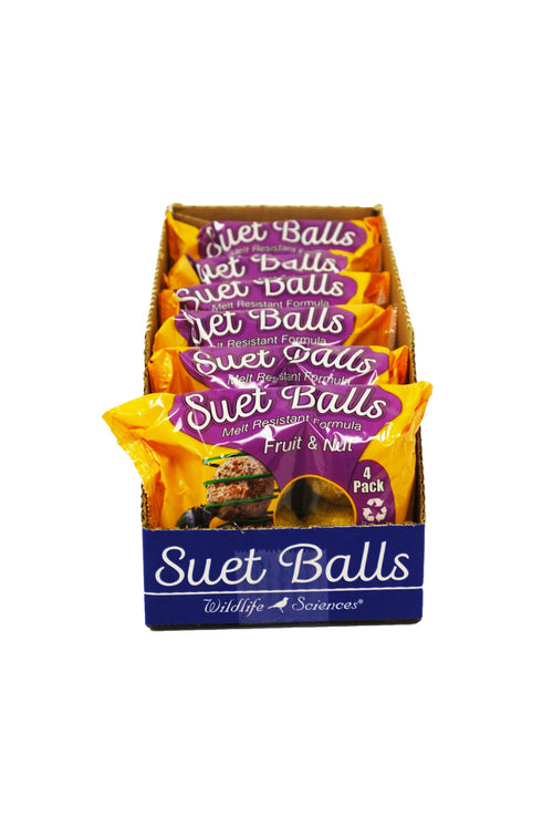 Fruit & Nut Suet Balls image 0