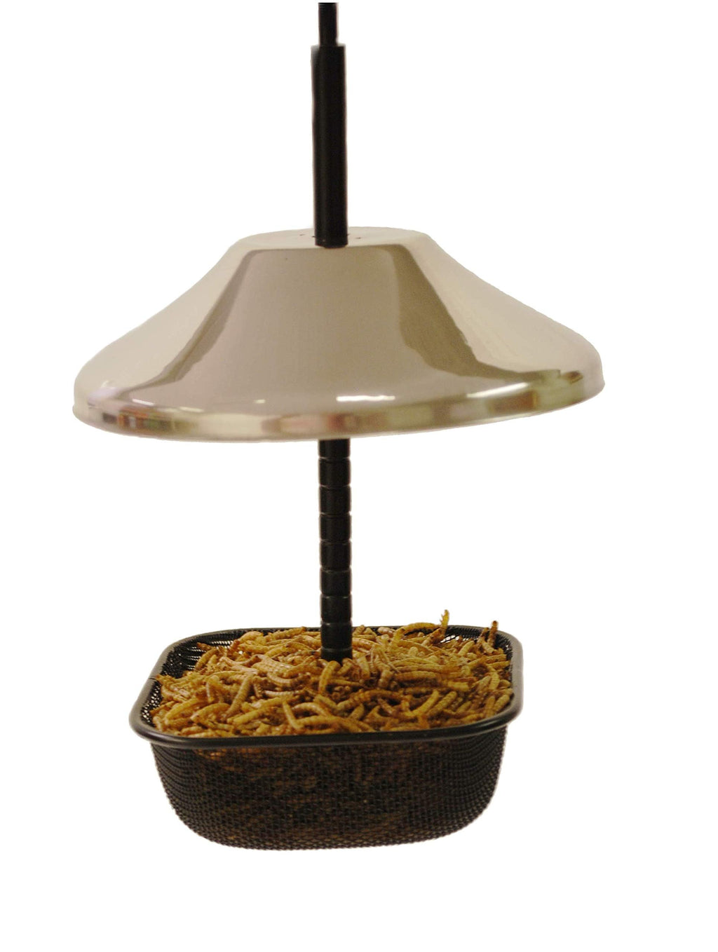 Mealworms and Bird Feeder Combo | 7 oz Bag of Mealworms and 5 x 5 inch Powder Coated Mesh Bowl with Adjustable Roof