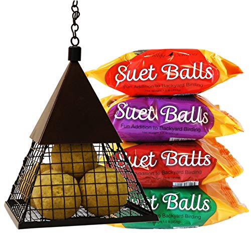 Suet Ball Feeder and Suet Ball Variety Combo Pack | Geo Pyramid Feeder with 16 Suet Balls