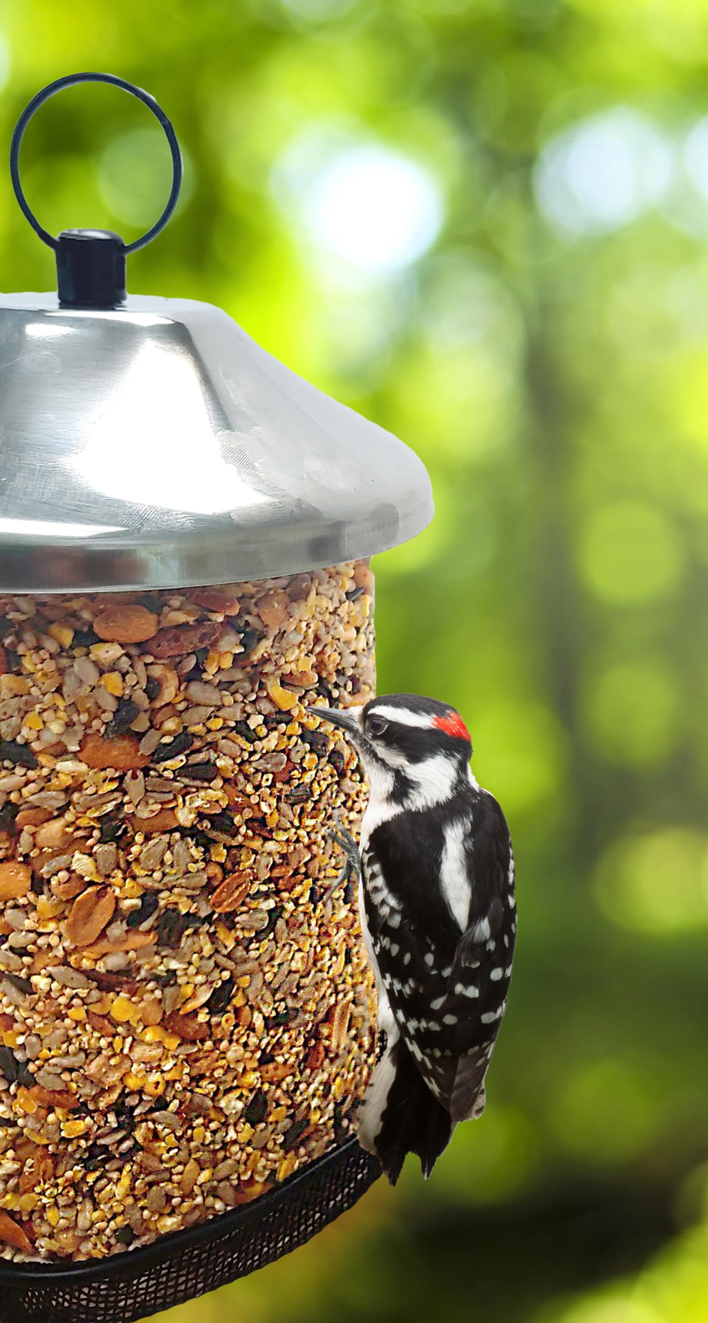 Wildlife Sciences Songbird Treats Seed Tower 2 Packs | Bundle of 2 | 1.5-2 lb Seed Log Towers for Wild Birds