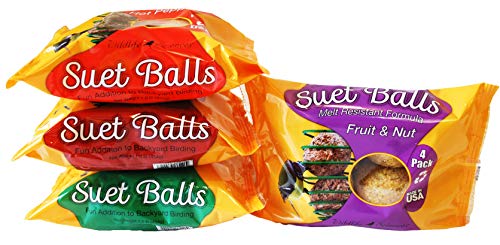 Suet Ball Feeder and Suet Ball Variety Combo Pack | Geo Pyramid Feeder with 16 Suet Balls
