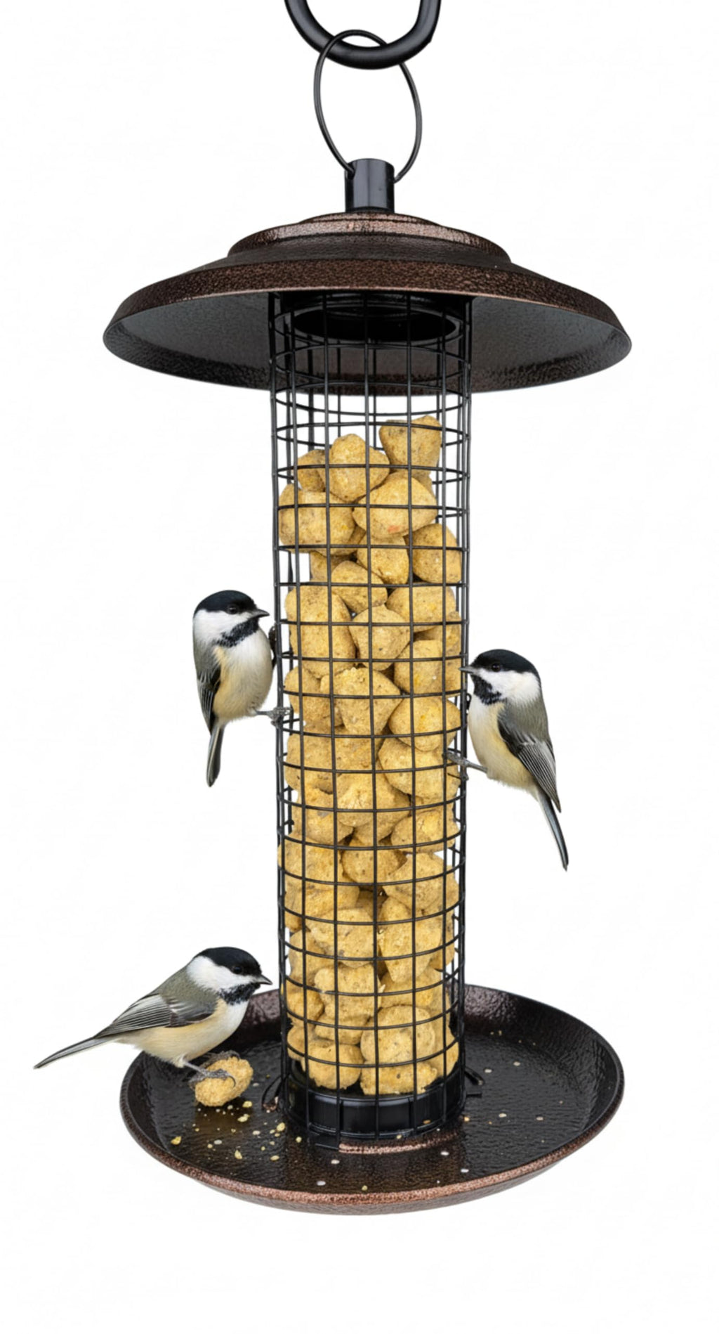 Wildlife Sciences No Melt Suet Dough Suet Minis | 28 oz