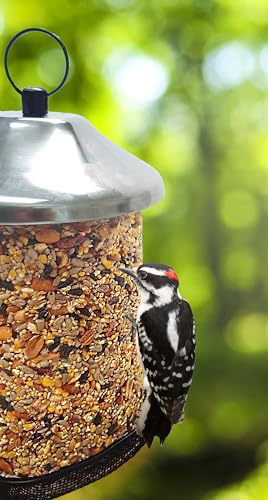 Wildlife Sciences Songbird Treats Seed Tower 2 Packs | Bundle of 2 | 1.5-2 lb Seed Log Towers for Wild Birds
