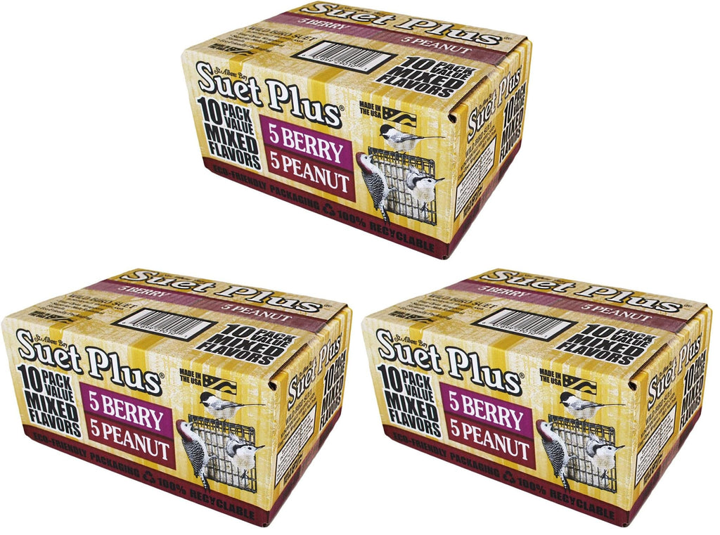 ST. ALBANS BAY SUET PLUS Suet Cake 15 Pack | 11 oz. Suet Cakes for Wild Birds|