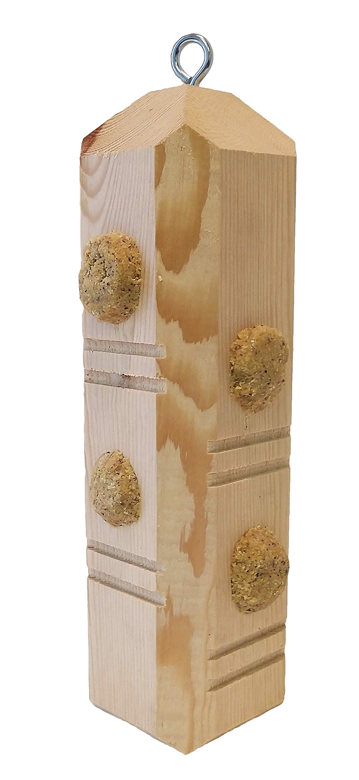 Wildlife Sciences Suet Plus Suet Plug Variety 5-Pack Feeder