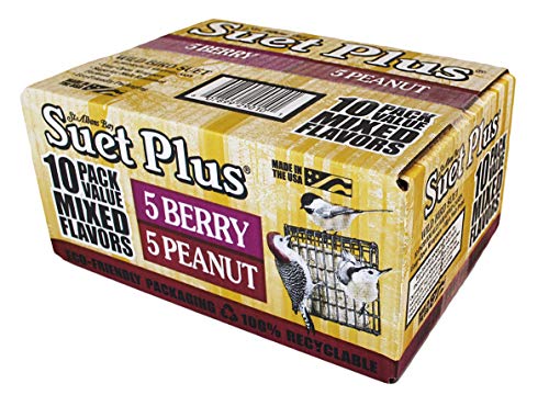 ST. ALBANS BAY SUET PLUS Suet Cake 15 Pack | 11 oz. Suet Cakes for Wild Birds|