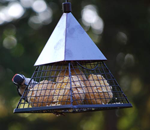 Suet Ball Feeder and Suet Ball Variety Combo Pack | Geo Pyramid Feeder with 16 Suet Balls