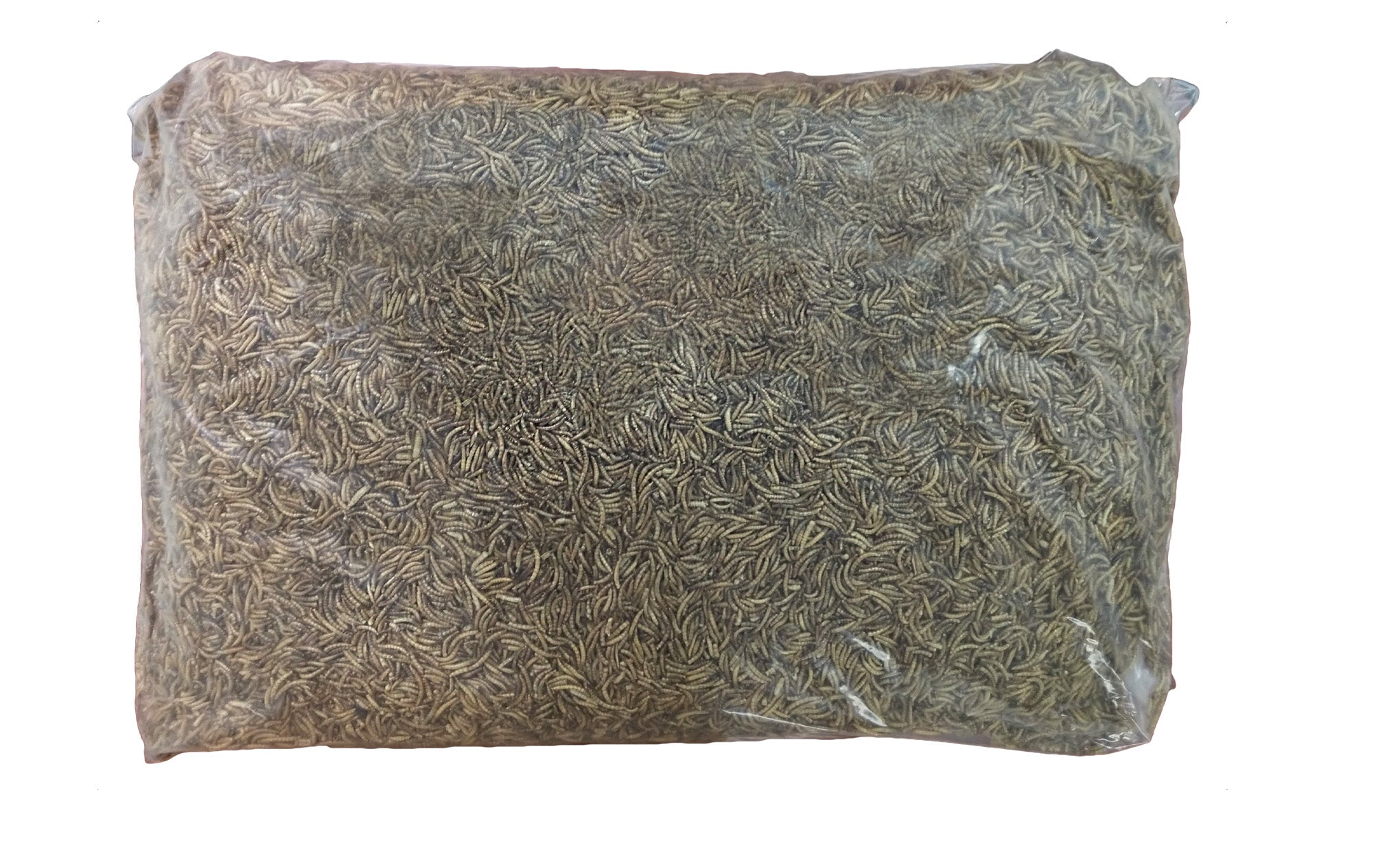 Dried Mealworms for Birds - Bulk 11 lbs. image 0