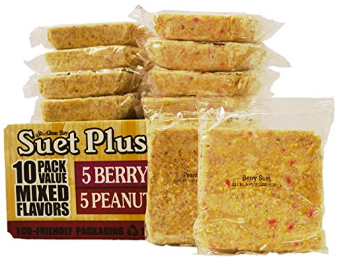 ST. ALBANS BAY SUET PLUS Suet Cake 15 Pack | 11 oz. Suet Cakes for Wild Birds|