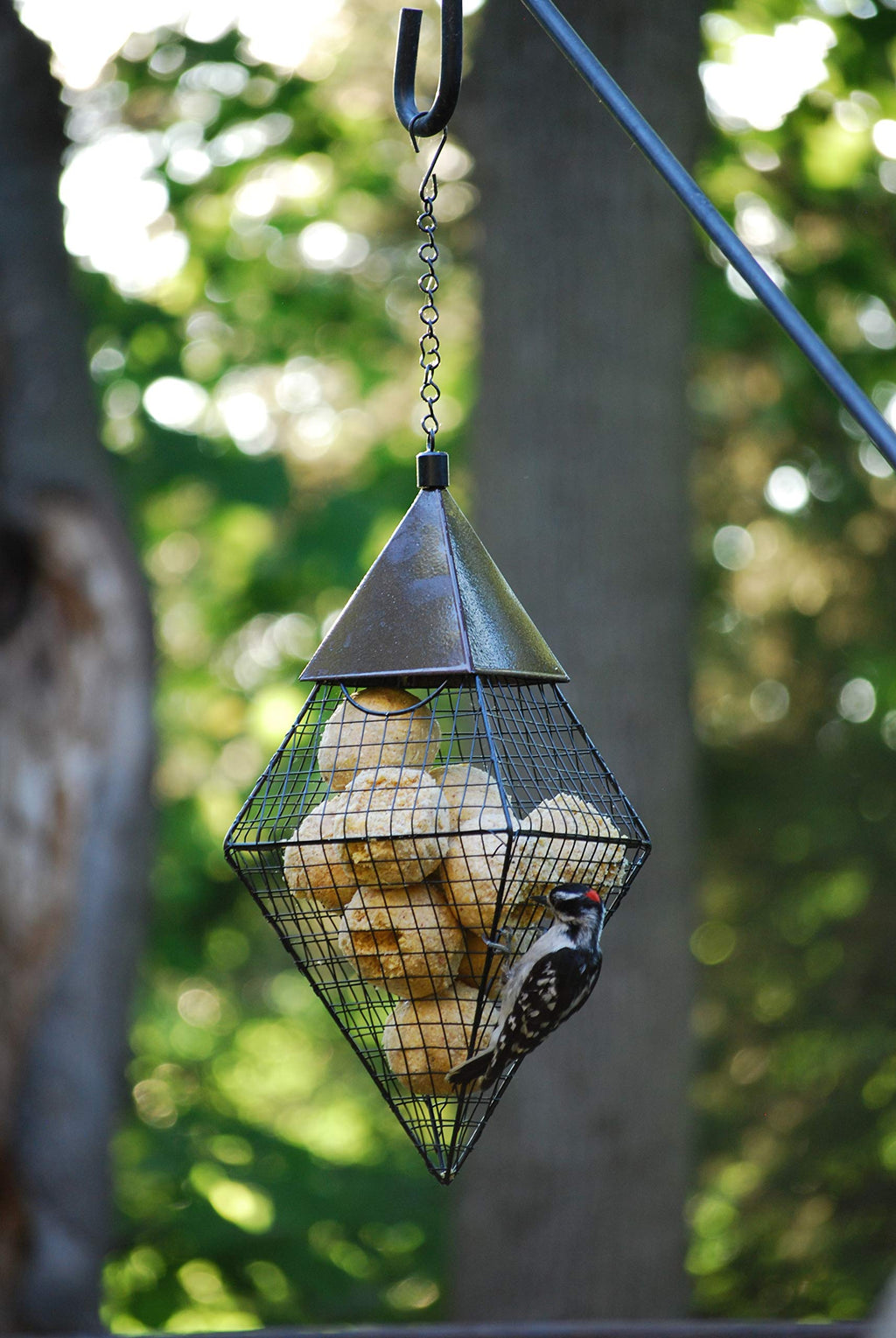 Wildlife Sciences Geo Ball Bird Feeder Diamond