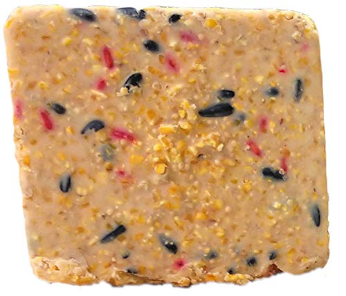 ST. ALBANS BAY SUET PLUS Suet Cake 15 Pack | 11 oz. Suet Cakes for Wild Birds|