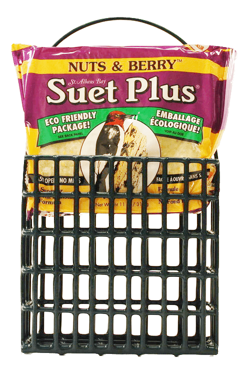 Suet Cake and Feeder Combo image 0