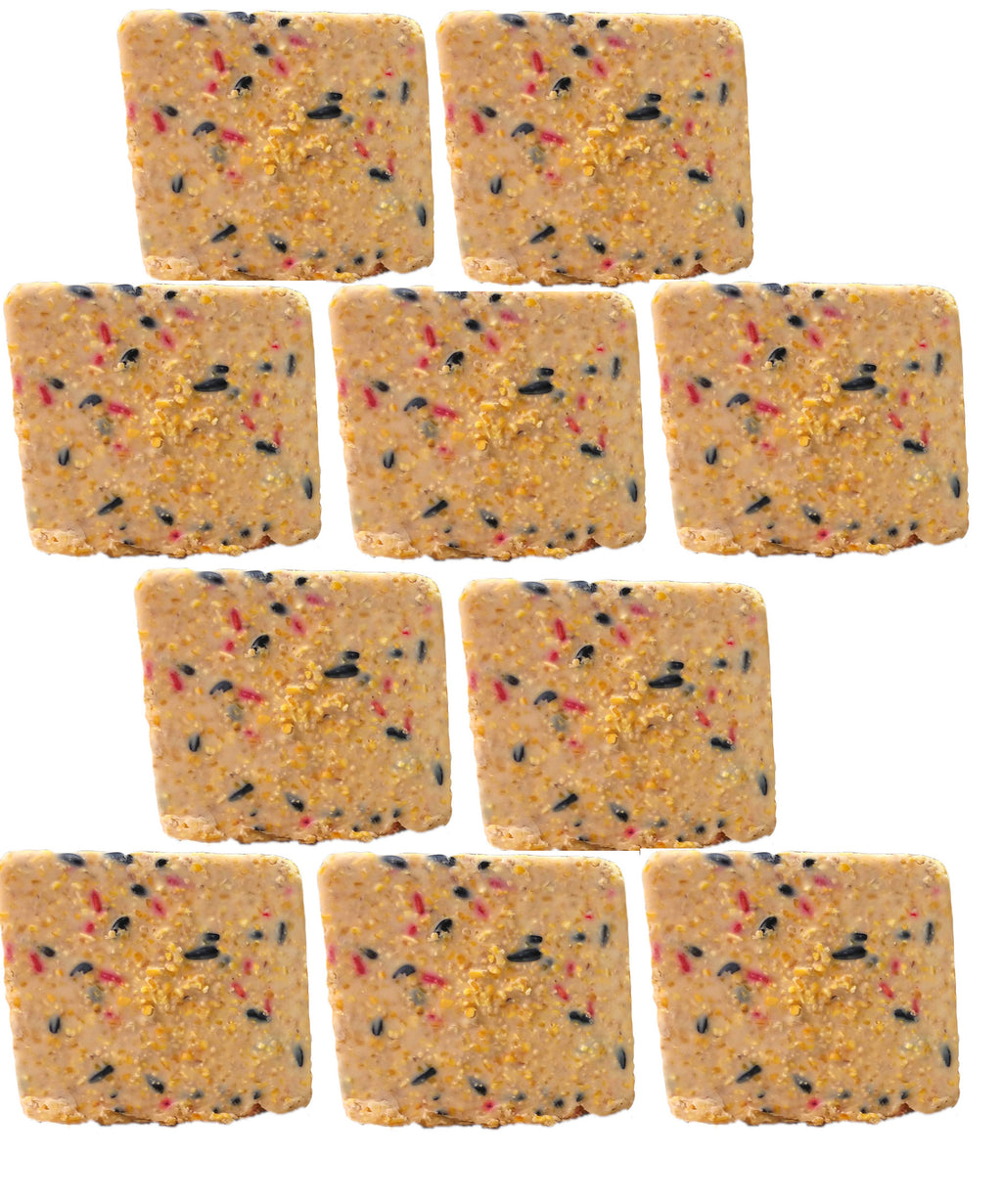Suet Cake Berry 10 Pack - 10 Pack Extra Value! image 0