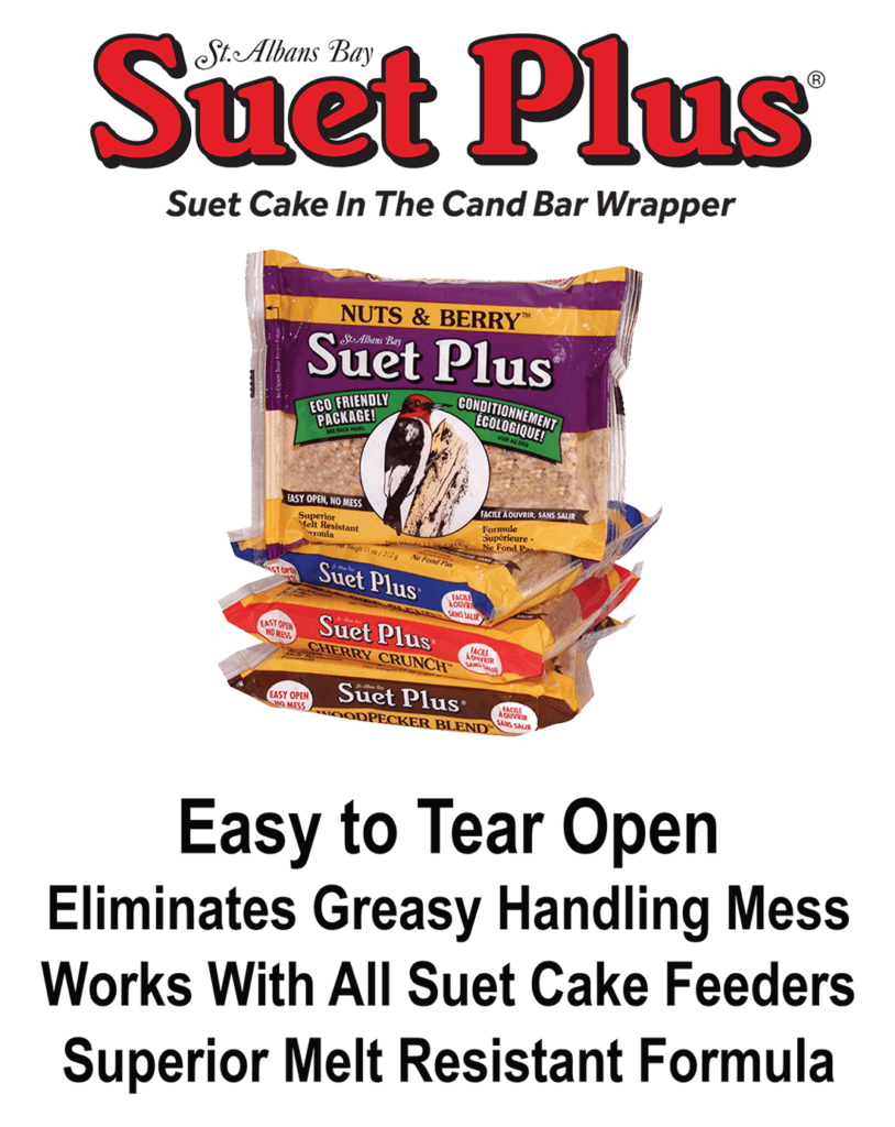 Suet Cakes and Feeders Ultimate 30 Pack FatBird